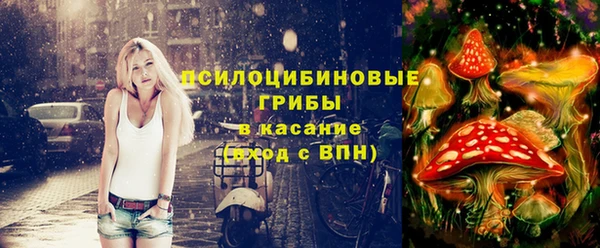 эйфоретик Арсеньев
