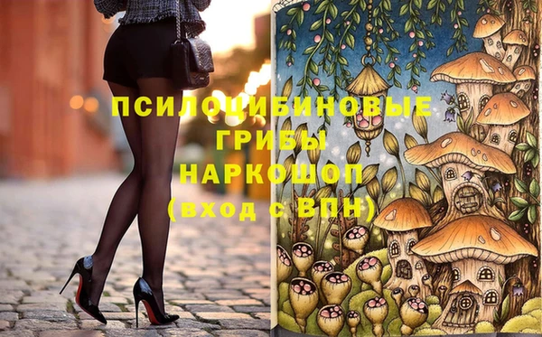 эйфоретик Арсеньев
