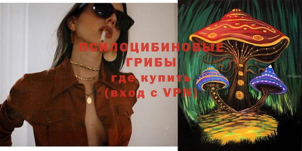 эйфоретик Арсеньев