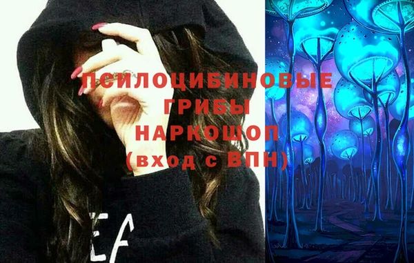 эйфоретик Арсеньев