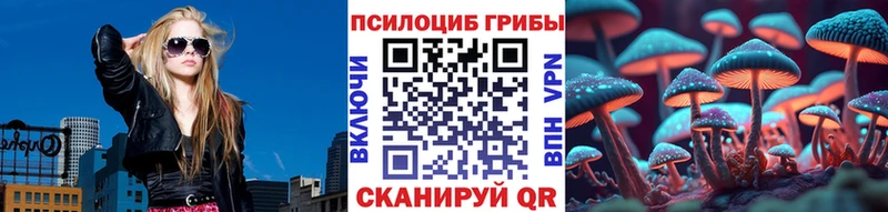 Псилоцибиновые грибы мухоморы  Купить где  Гурьевск 